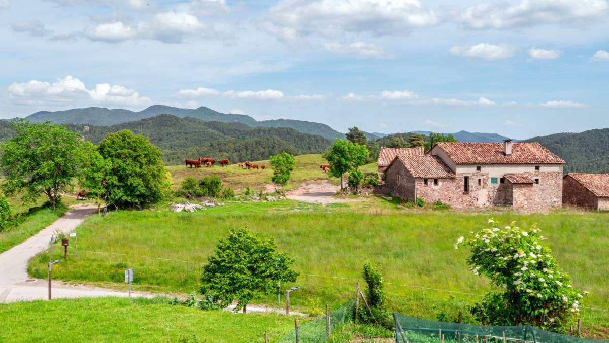 Catalan Country houses: History, Charm, and Unique Opportunities
