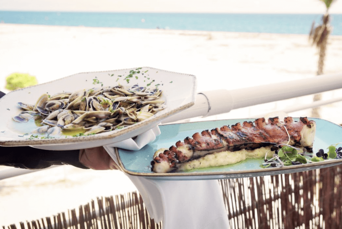 Sabores del Mediterráneo: restaurantes con encanto en el Maresme