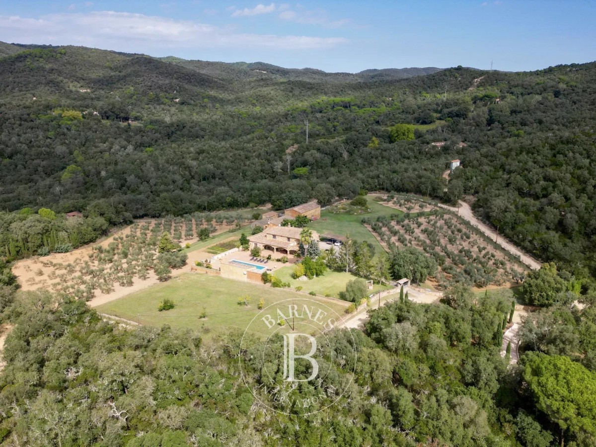 Mas Catalunya - Calonge - picture 3