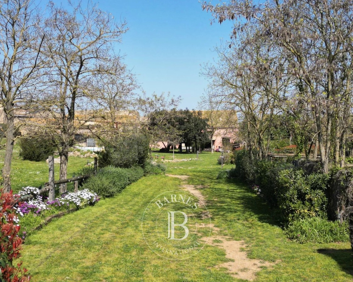 Mas Catalunya - Bellcaire d'Emporda - picture 3