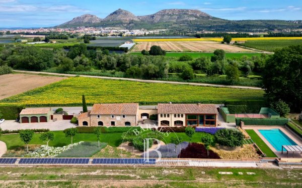 For Sale, Country House Pals - picture 2