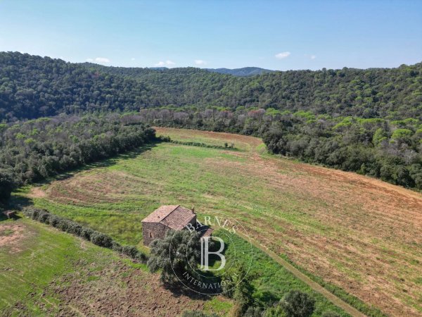 For Sale, Country House Sant... - picture 5