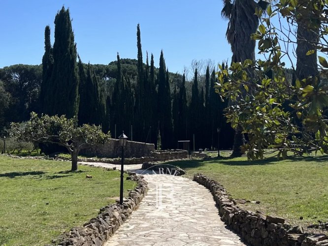 Vendido, Masía Fonteta - picture 3