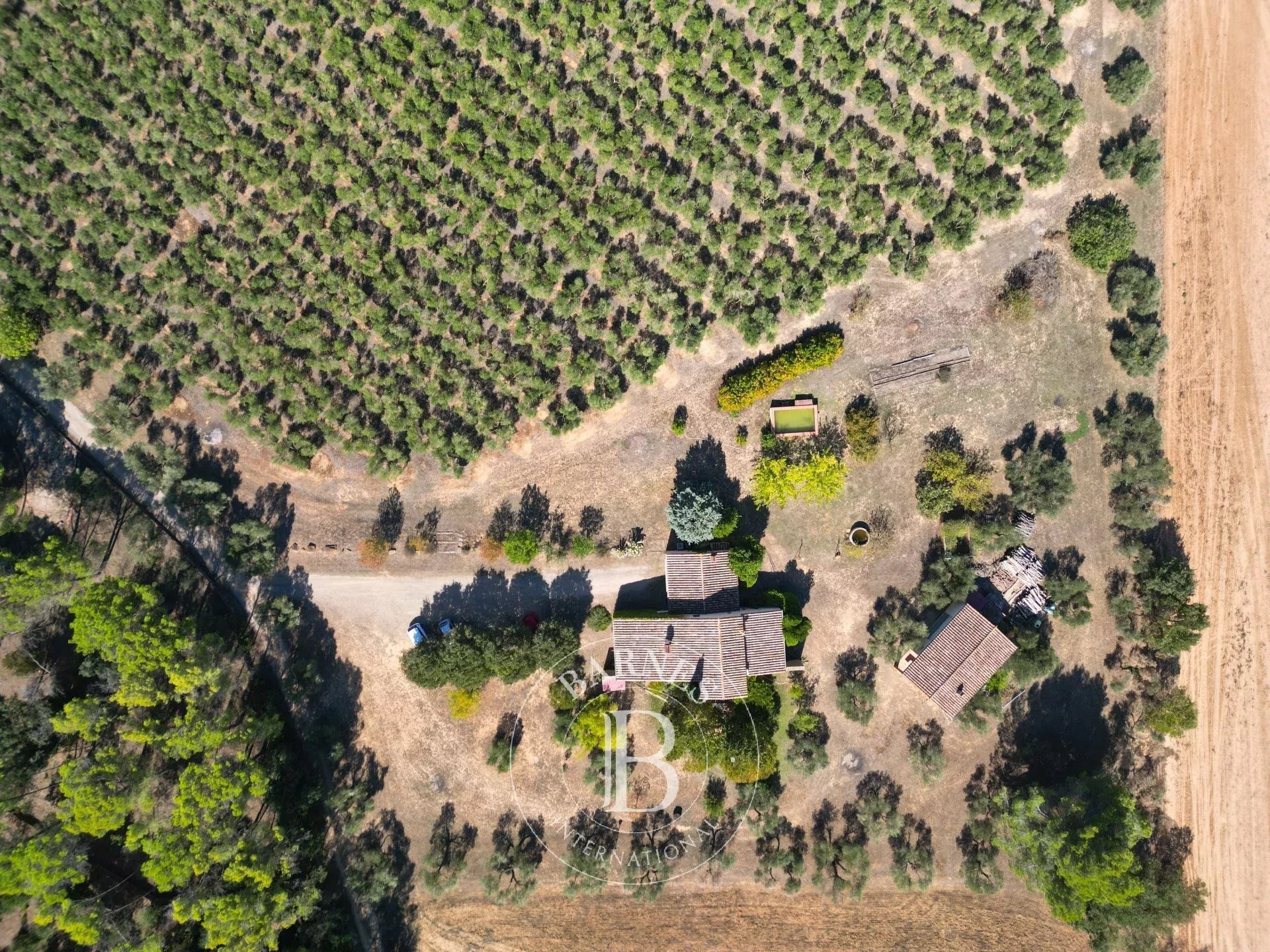 Casa de camp envoltada d’oliveres al cor del Triangle d’Or de l’Empordà - picture 3