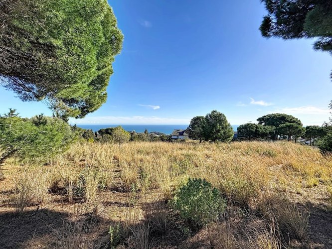 For Sale, Plot of land Sant... - picture 2