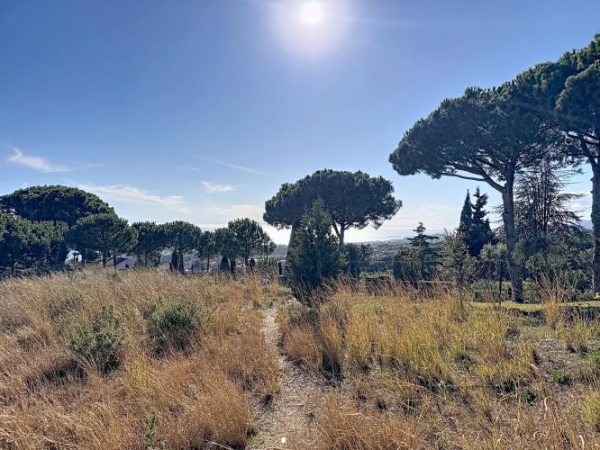 For Sale, Plot of land Sant... - picture 5