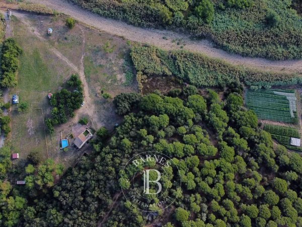 À vendre, Mas Sant Pol de Mar - picture 5