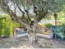 Excellent property with 2500m² of land located in Can Teixidó, Alella - picture 22 title=